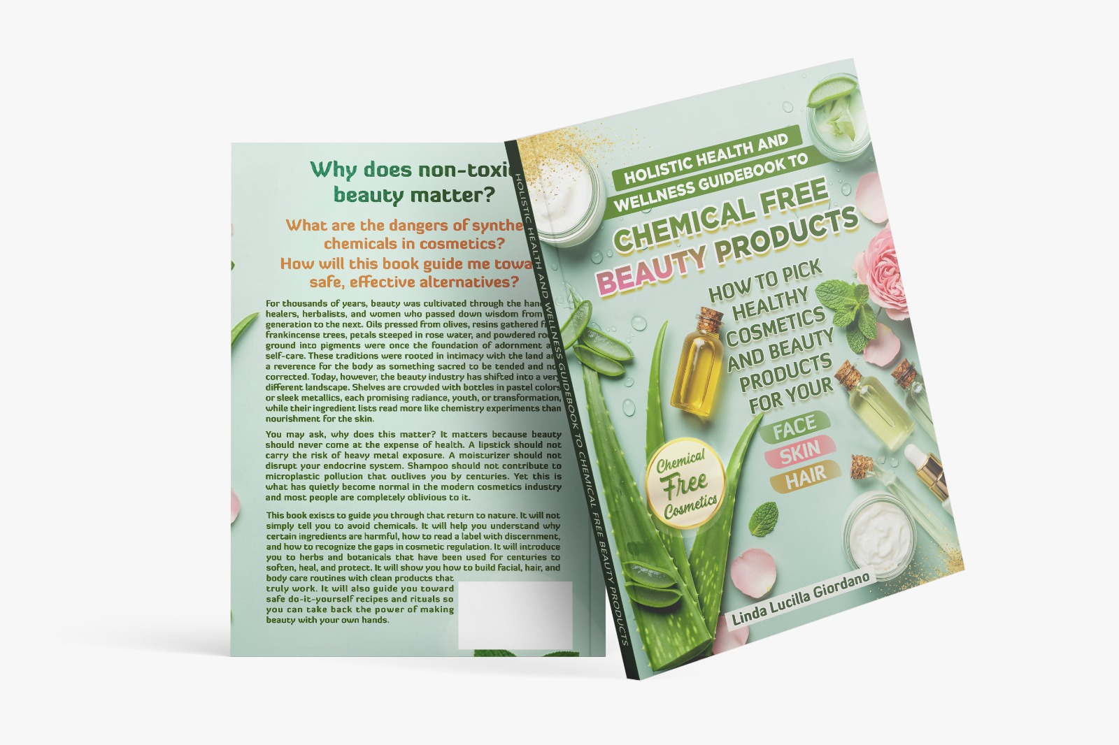 Holistic Beauty Blueprint book cover